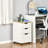 Bretagne 13.5'' Wide 3 - Drawer Filing Storage Cabinet