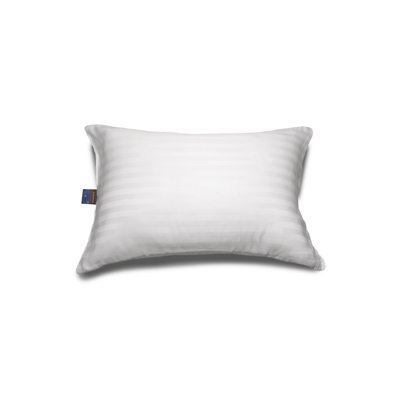 Protecteur d'oreiller en polyester Perfect Choice