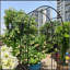 Arche de jardin en métal L42,24 po x l 17,52 po x H85,82 po