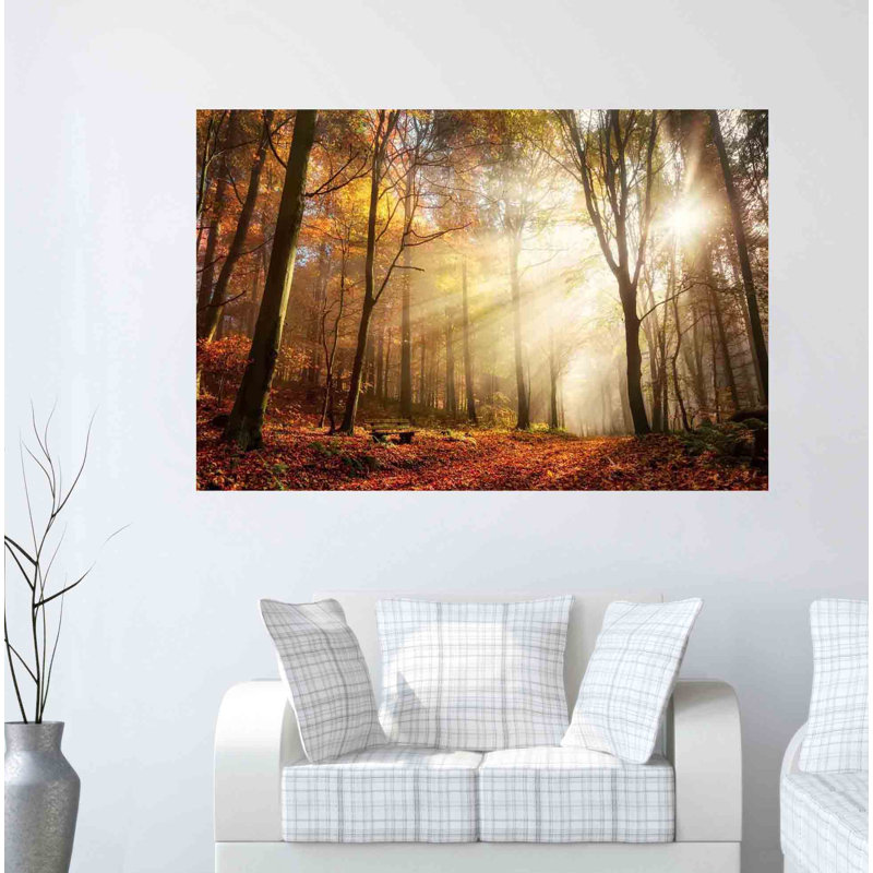 Art mural en verre trempé sans cadre Sunlight in Woods - 40 po x 60 po