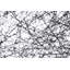 Random II 1 - Light Pendant-31177652-48765049-94341235