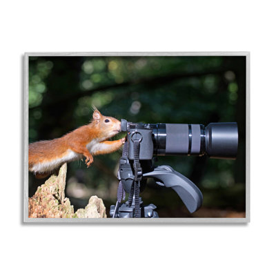 Ba-384-Framed " Funny Squirrel Photographer " by Julie Hunt