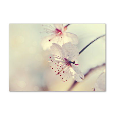 Cherry Blossom - Wrapped Canvas Print