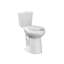 Toilette de 21 po de hauteur, toilettes à chasse d'eau très hautes et puissantes avec siège à fermeture douce, CARTE 1000 g