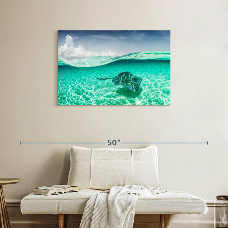 Brama Manta Ray sous l'eau, H 24 po x l 36 po