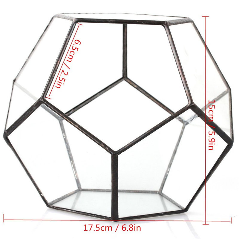 Terrarium géométrique en verre 6,9 po Pentarium