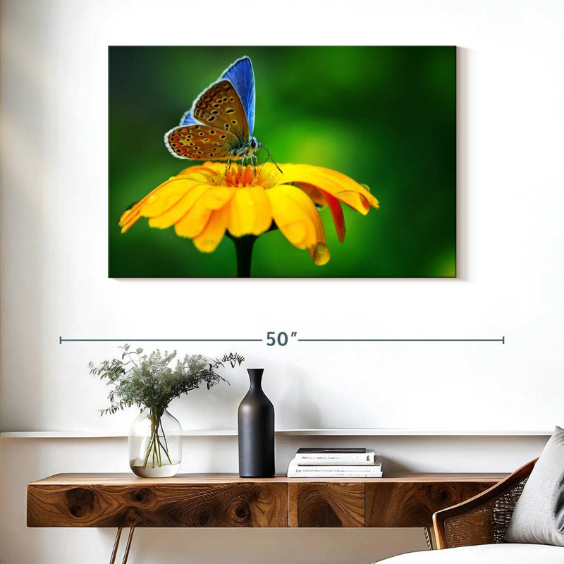Splendeur papillon bleu Brampt, H 26 po x l 39 po