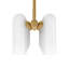 Odyssey 12 - Light Dimmable Chandelier-1547483496