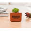 Plante grasse artificielle 6 po Caine