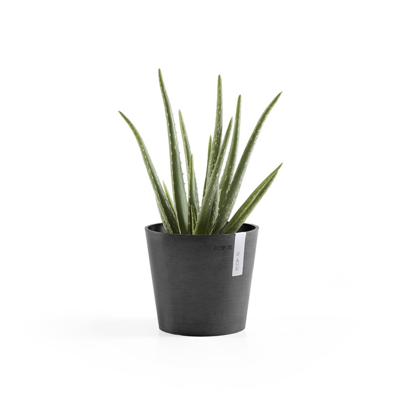 Dark Grey 7-Inch Recycled Plastic Indoor/Outdoor Planter