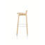 Branca Bar Stool-63215905