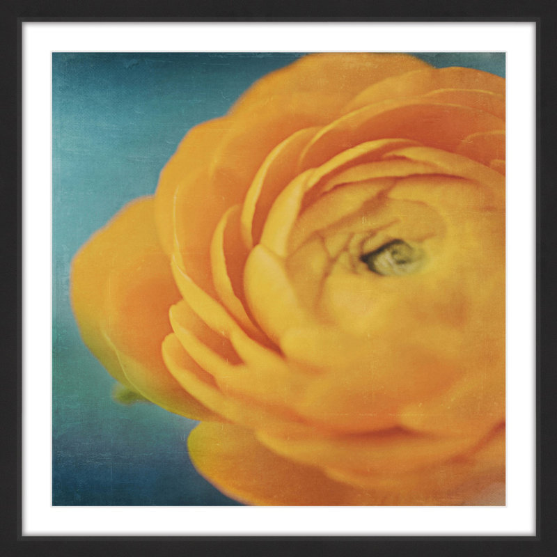 Single Picture Frame Print, 51cm H x 51cm W x 3.81cm D