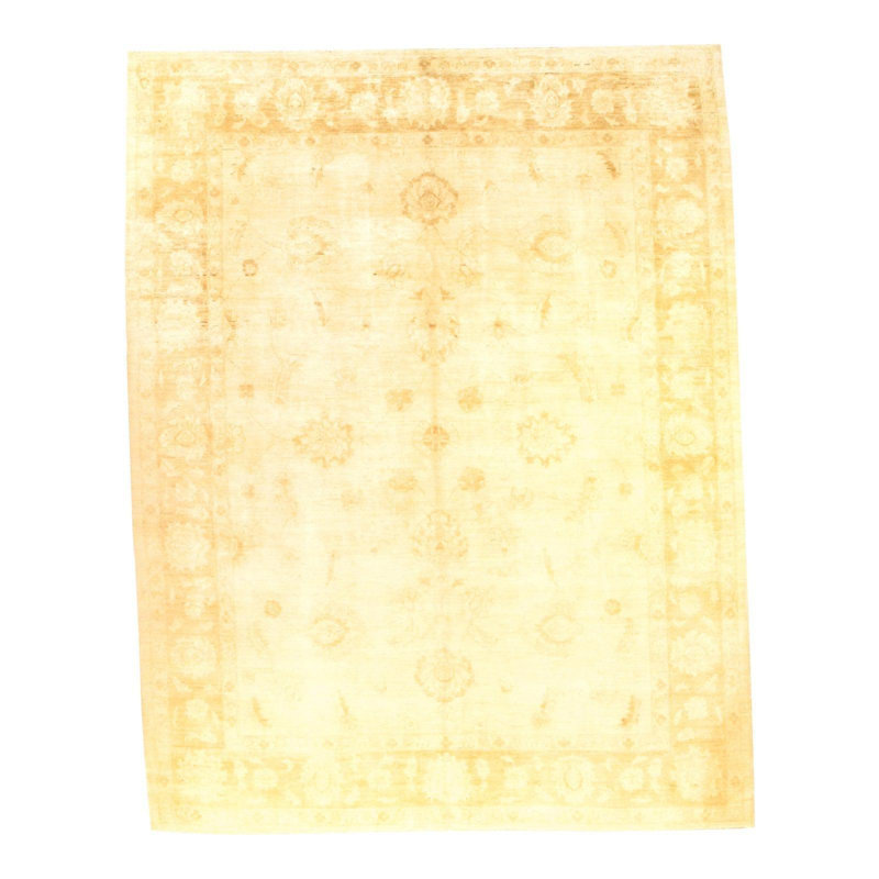 Oriental Indoor Rug