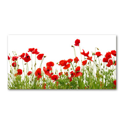 Maki - No Frame Print on Canvas