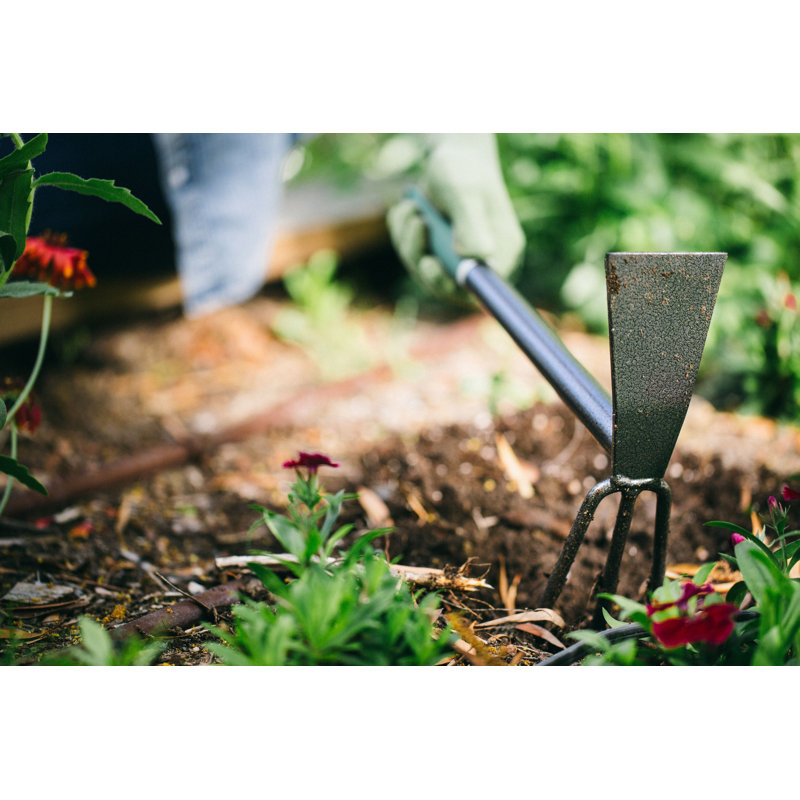 Cultivateur à main Terra