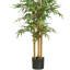 Bambou en soie-784335804