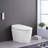 Smart Toilet Bidet Combo With Selfcleaning Nozzle, Heated Seat, Night Light, Knob Control, Power Outage Flushing, Soft Close, Auto Flush, With Remote Control