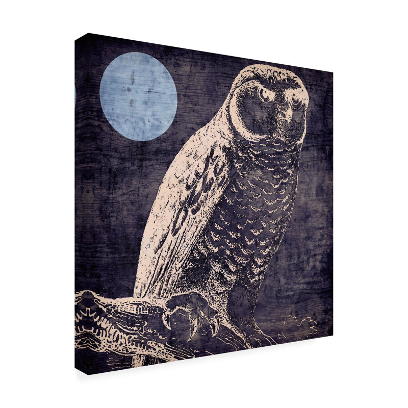 Art sur toile «Bachelor Sasha Owl 1», H 14 po x l 14 po
