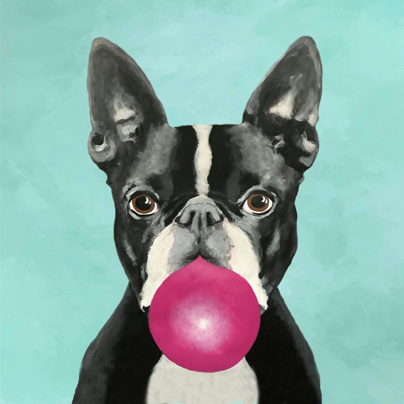 «Boston Terrier Blowing Bubblegum» par Coco de Paris - impression, H 30 po x l 30 po, Cadre flottant érable, Non