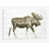 Toile tendue
