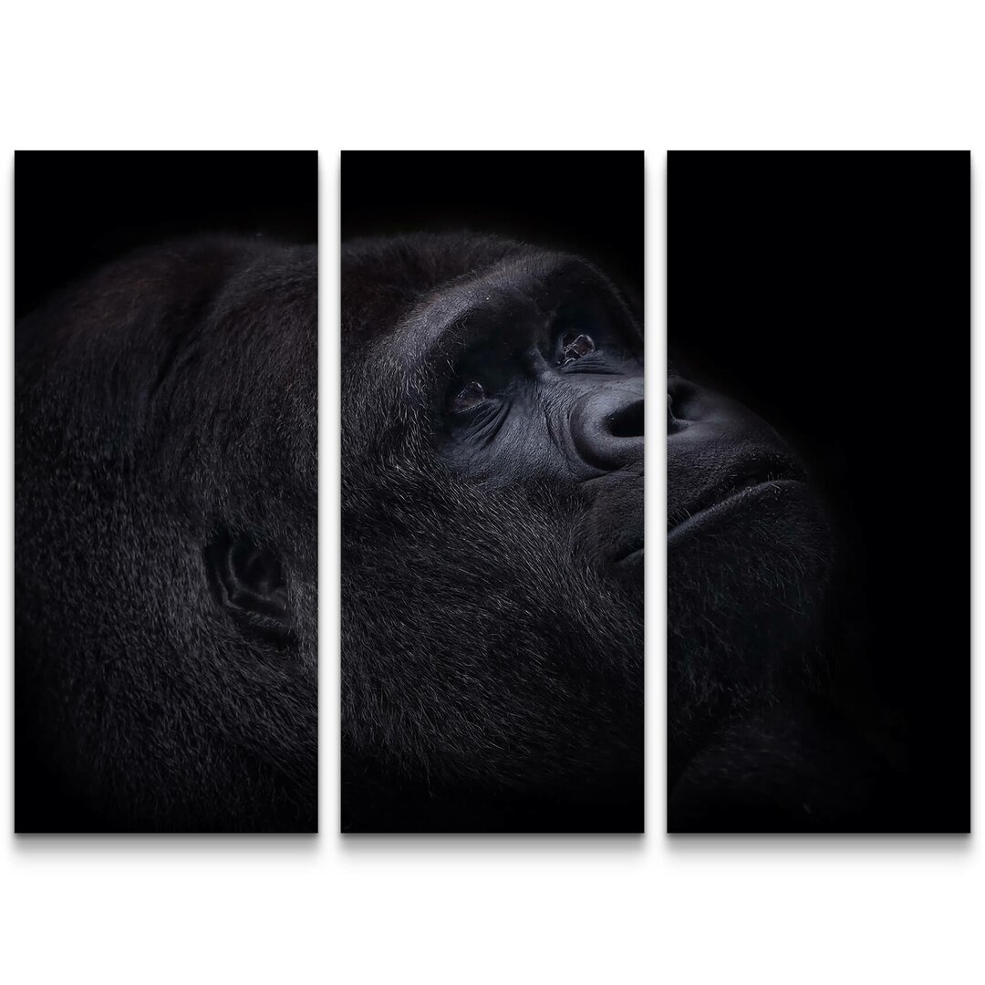 3-tlg. Leinwandbilder-Set Dunkles Portrait eines Gorillas