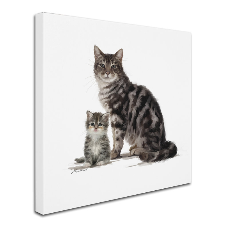 Armand 'Tabby' Print on Canvas, 18" H x 18" W x 2" D