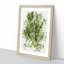 Leaf Pathways - Framed Print-56741577-56741578
