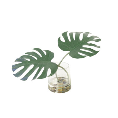 Philodendron Leaf in Tapered Glass
