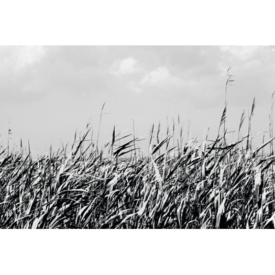 Dune Triptych II by Jeff Pica - Wrapped Canvas Print