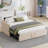 Velvet Daybed with Extended Pop Up Trundle-1126601965