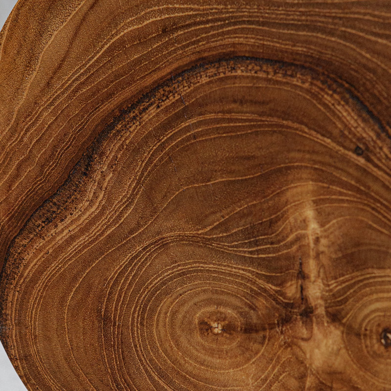 Uttermost Teak And Noir Bookends Set