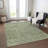 Machine Washable Indoor/Outdoor Xhevrie Green Rug-1860218307