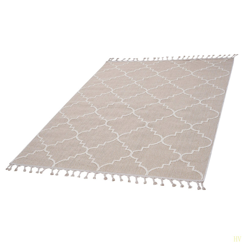 Collection 5X7 /Trellis Indoor/Outdoor Area Rug, Rectangle 5'3" x 7'6"