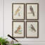 Toile encadrée de qualité supérieure Barn Owl - prête à être accrochée-472605959-472605958