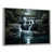 Silver Floater Framed
