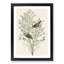 Orange-Crowned Warbler Birds by John Audubon - Picture Frame Painting Print-55581391-55581396