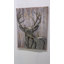 Cerf 1 - impression sans cadre sur métal