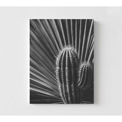Impression de cactus ombres, noir et blanc minimaliste