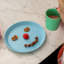 Connect Plate Small Plate-105644110