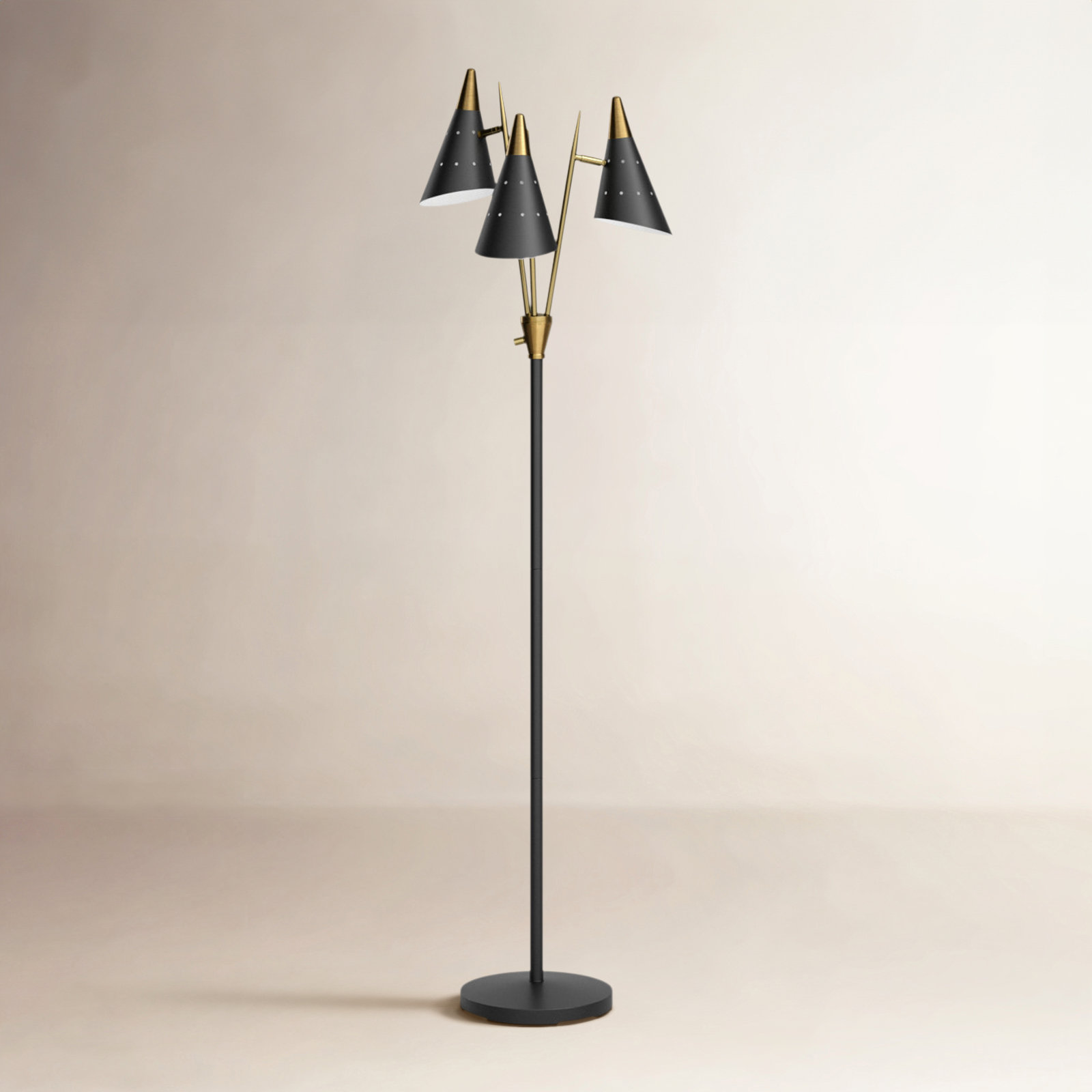 Boise 66'' Floor Lamp, Black/Antique Brass
