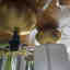 Customer photo 2 of 2