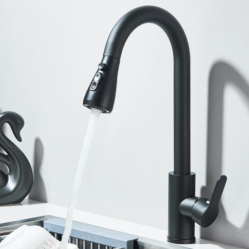 Belfry Kitchen Pull Out Kitchen Faucet