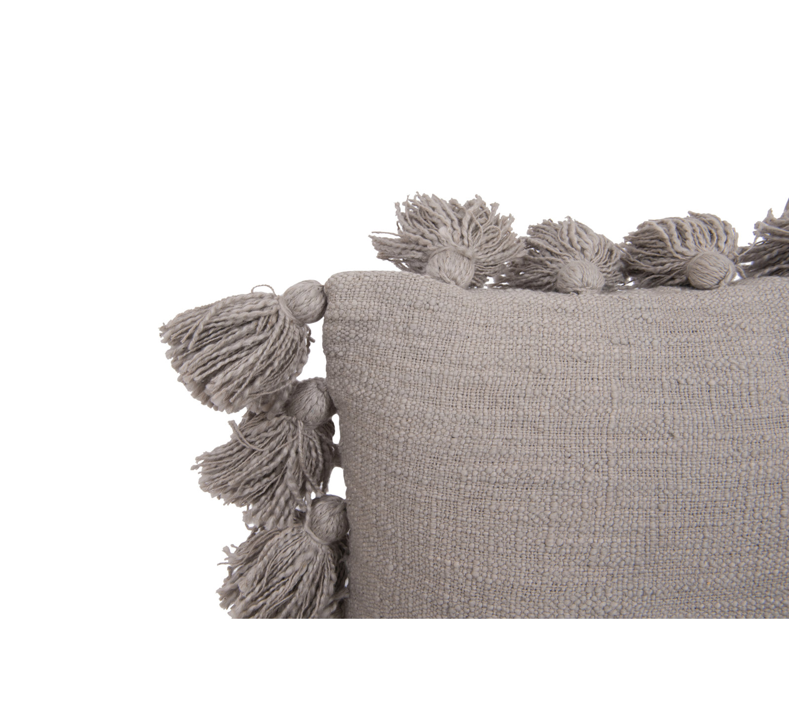 Astraeus 18" x 18" Cotton Throw Pillow, Gray