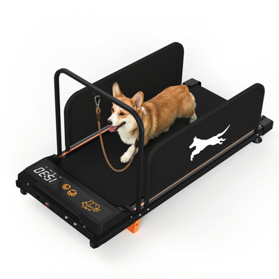 Tapis roulant pour petit chien 2026 Edition - Entraînement des chiots avec moteur silencieux, capacité de 220 lb, présentoir pour l'entraînement, ceinture de course de 35,43 po x 14,76 po