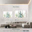 Eucalyptus blanc Harnek II-108007127