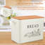 Food Storage Container-439761595