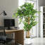 120 cm H Faux Ficus Tree Plant in Cement Freestanding  Planter