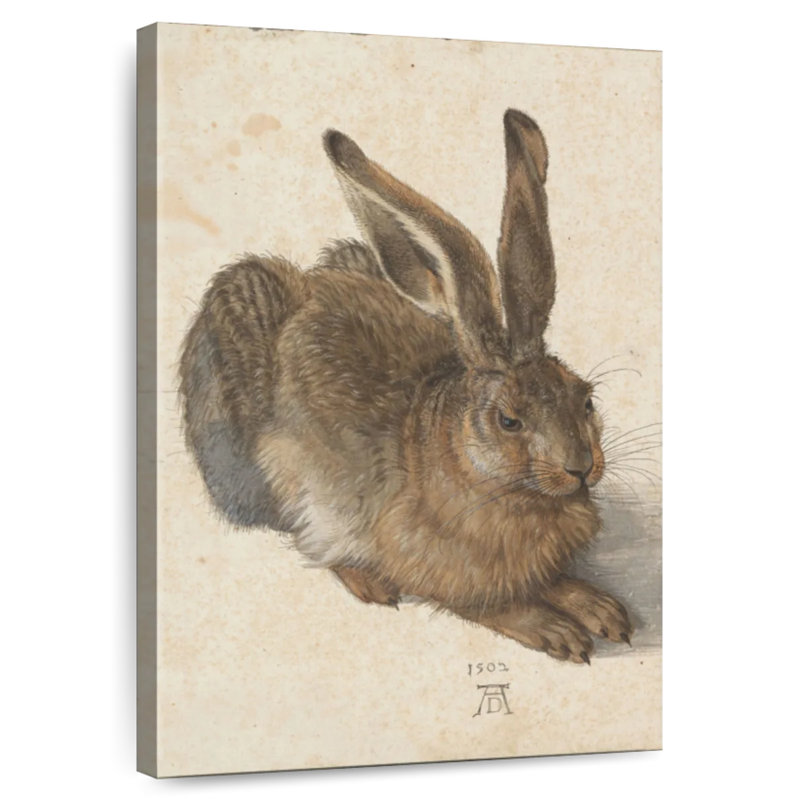 Jeune lièvre Brampt, H 36 po x l 24 po