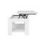 Adrianne Lift Top Four Leg Coffee Table with Storage-20638064
