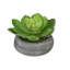 Jardinière avec succulent Echeveria artificielle-1784039847-1784032527